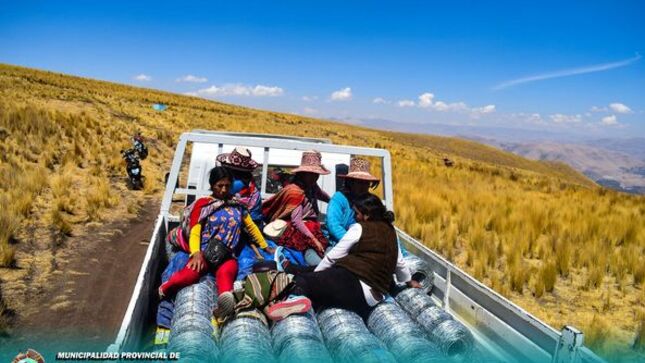 LA COMUNA PROVINCIAL DE CHUMBIVILCAS, ENTREGÓ MALLAS GANADERAS PARA LA REUBICACIÓN DE LAS VICUÑAS PERTENECIENTES A LA RESERVA DE PFULLPURI, PUENTE CCOYO, Y USCAMARCA