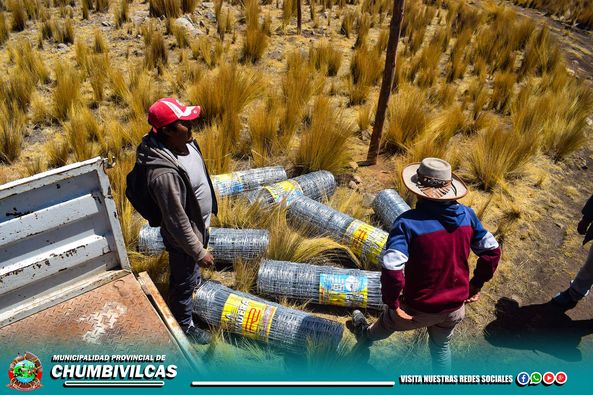 LA COMUNA PROVINCIAL DE CHUMBIVILCAS, ENTREGÓ MALLAS GANADERAS PARA LA REUBICACIÓN DE LAS VICUÑAS PERTENECIENTES A LA RESERVA DE PFULLPURI, PUENTE CCOYO, Y USCAMARCA