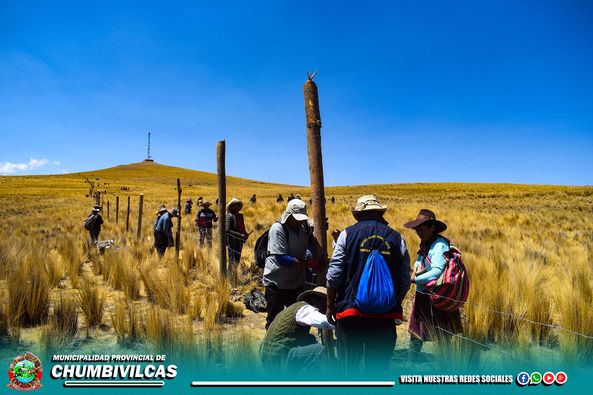 LA COMUNA PROVINCIAL DE CHUMBIVILCAS, ENTREGÓ MALLAS GANADERAS PARA LA REUBICACIÓN DE LAS VICUÑAS PERTENECIENTES A LA RESERVA DE PFULLPURI, PUENTE CCOYO, Y USCAMARCA