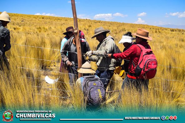 LA COMUNA PROVINCIAL DE CHUMBIVILCAS, ENTREGÓ MALLAS GANADERAS PARA LA REUBICACIÓN DE LAS VICUÑAS PERTENECIENTES A LA RESERVA DE PFULLPURI, PUENTE CCOYO, Y USCAMARCA