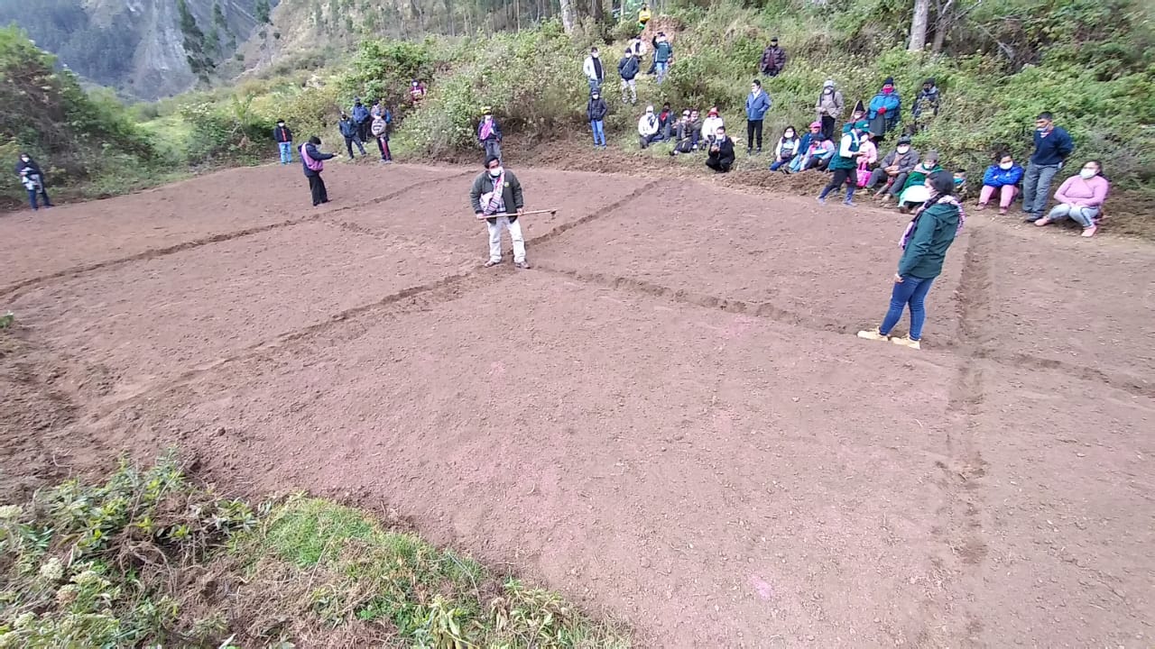 UZ Ucayali