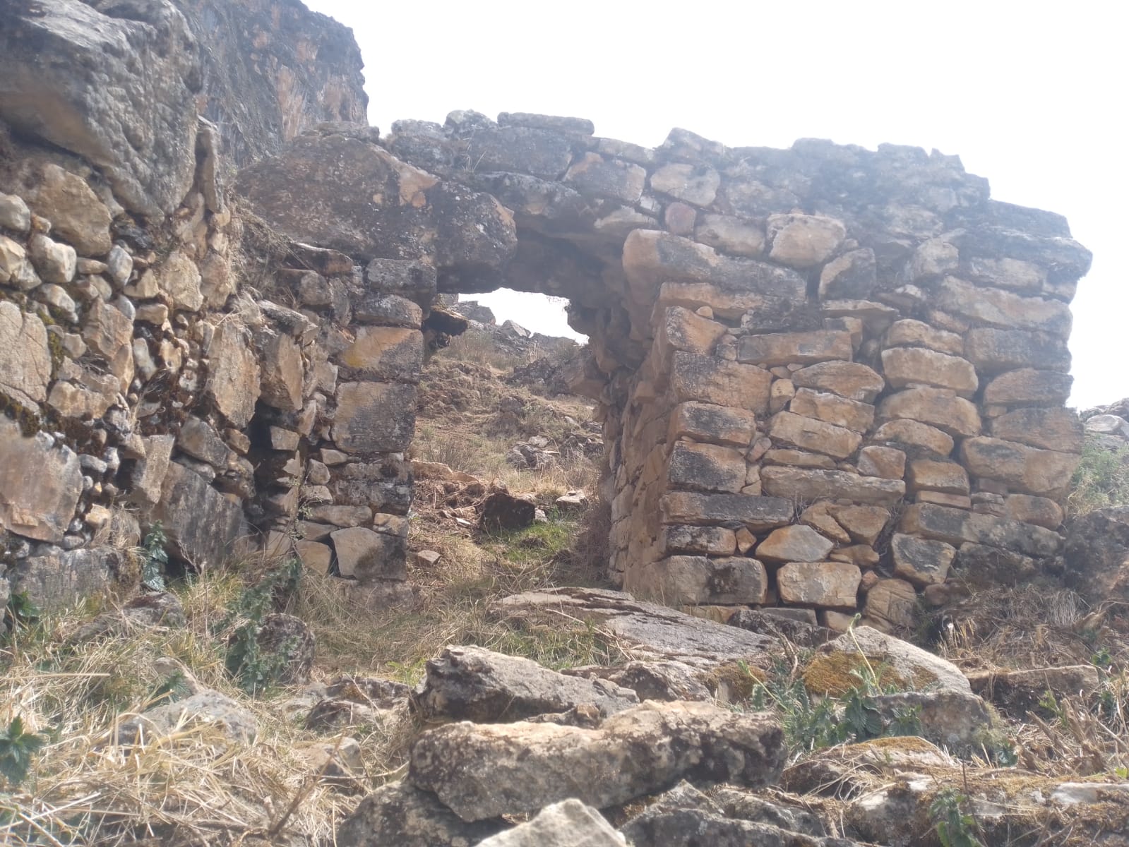 Pasco: Ministerio de Cultura realiza limpieza en sitios arqueológicos de la región