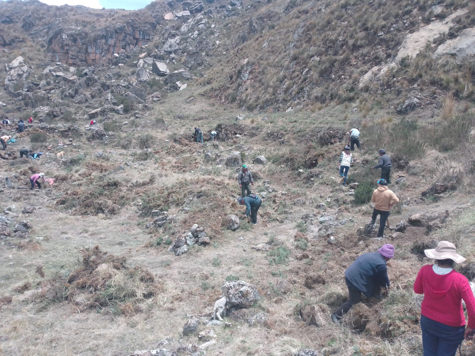 Pasco: Ministerio de Cultura realiza limpieza en sitios arqueológicos de la región