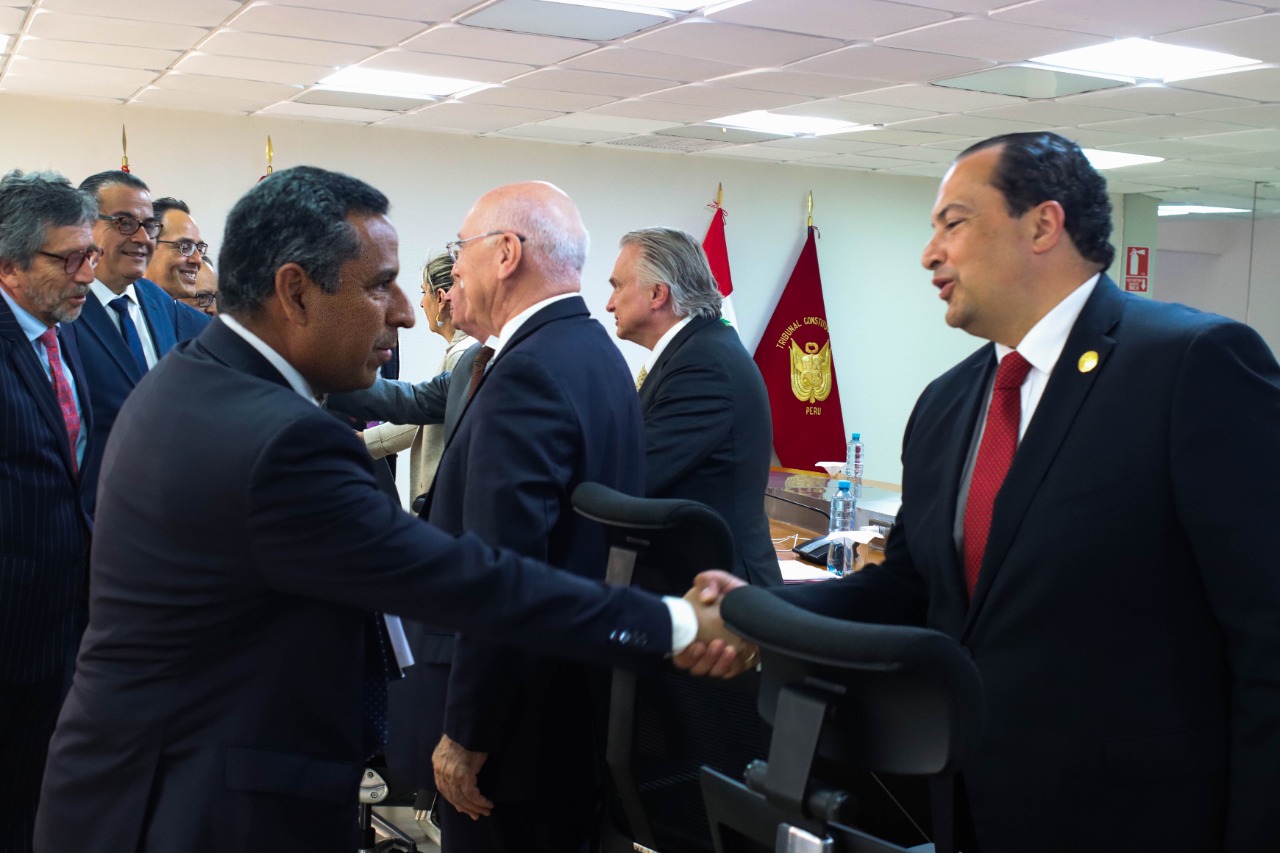 Reunión Grupo de Alto Nivel con el Pleno del TC.