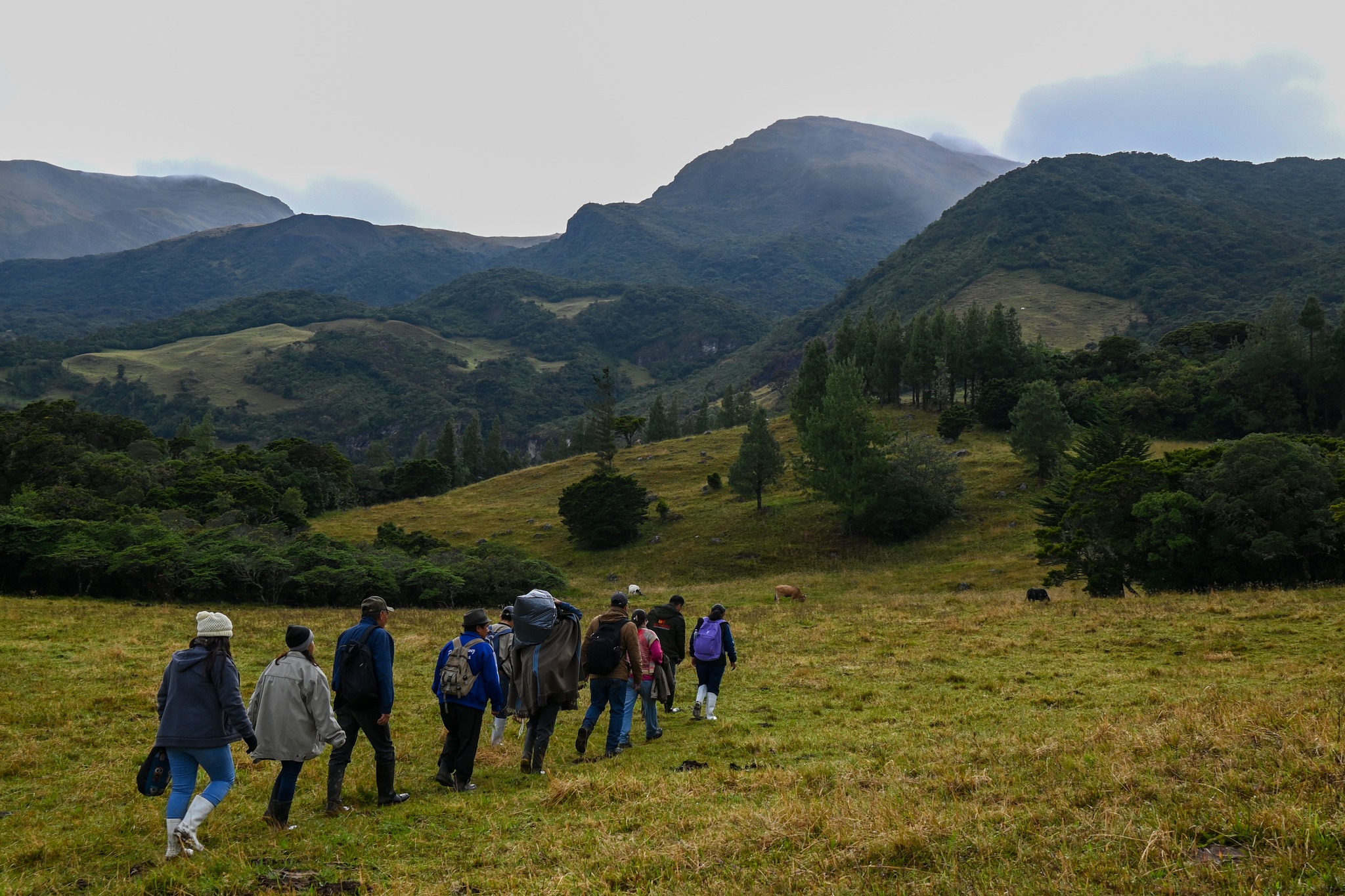 UNF realiza trabajo de campo sobre conservación del ecosistema páramo en la región Piura