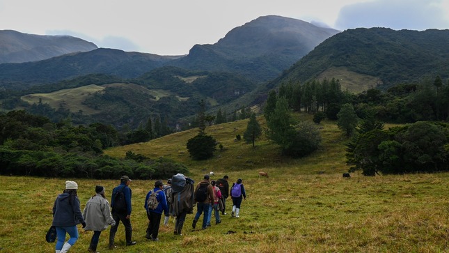 UNF realiza trabajo de campo sobre conservación del ecosistema páramo en la región Piura