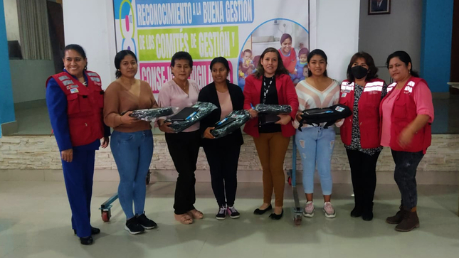 Reconocimiento a comités de gestión y consejos de vigilancia - Ica