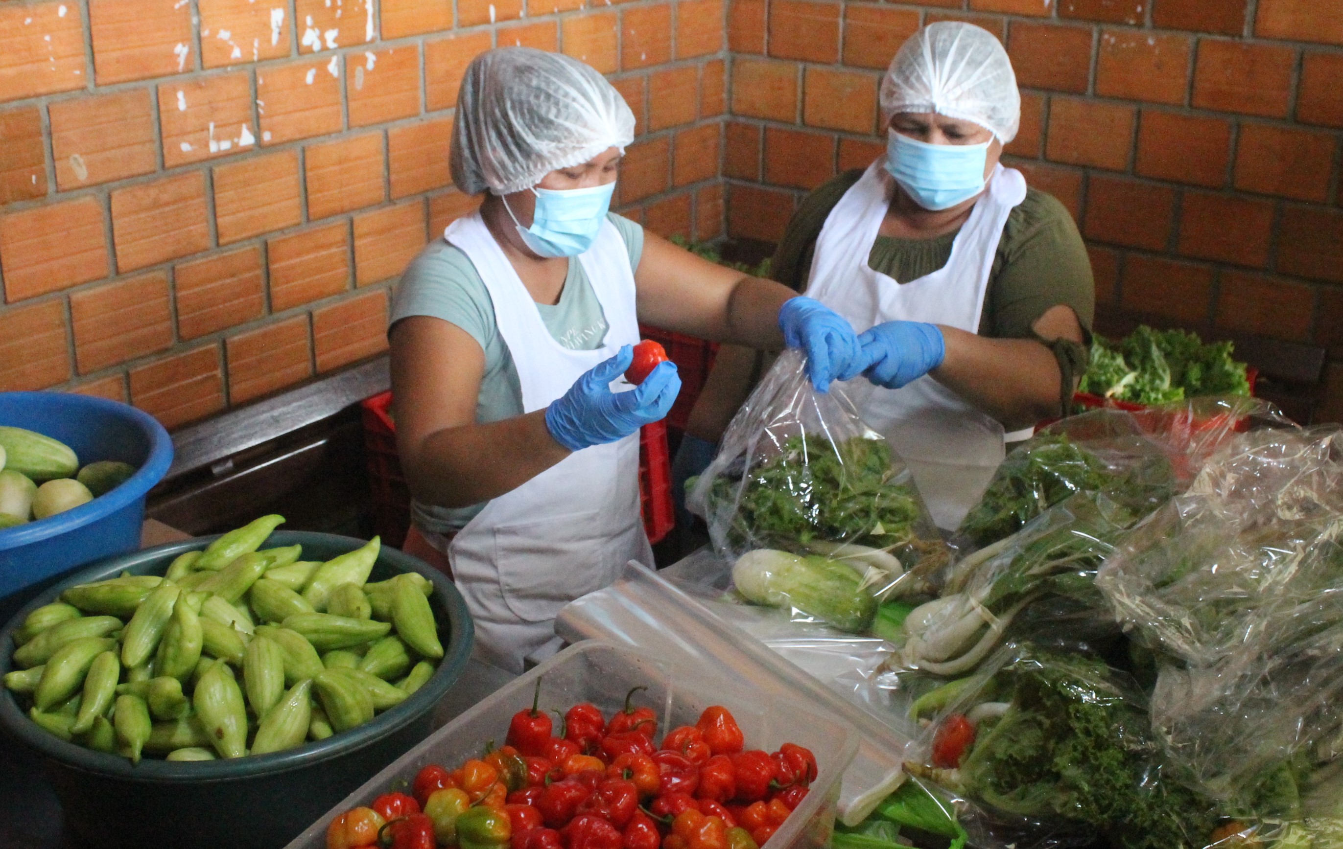 Loreto-MunicipalidaddeMaynasentregaalimentosfrescos (5).jpg