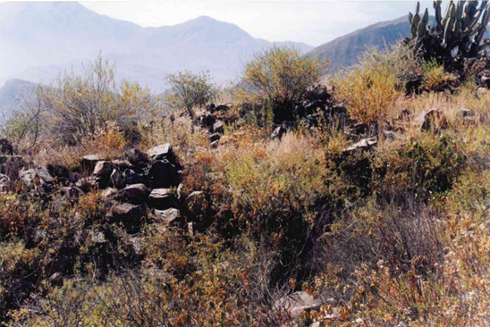 Ministerio de Cultura realizó el saneamiento físico legal del Sitio Arqueológico Putushina en Arequipa