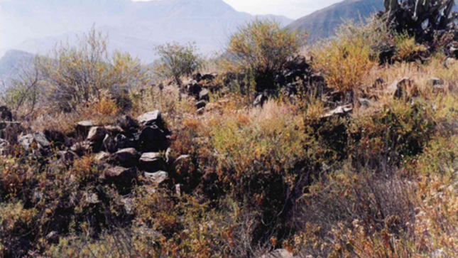 Ministerio de Cultura realizó el saneamiento físico legal del Sitio Arqueológico Putushina en Arequipa