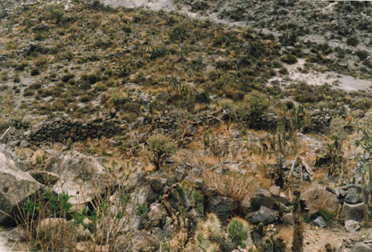 Ministerio de Cultura realizó el saneamiento físico legal del Sitio Arqueológico Putushina en Arequipa