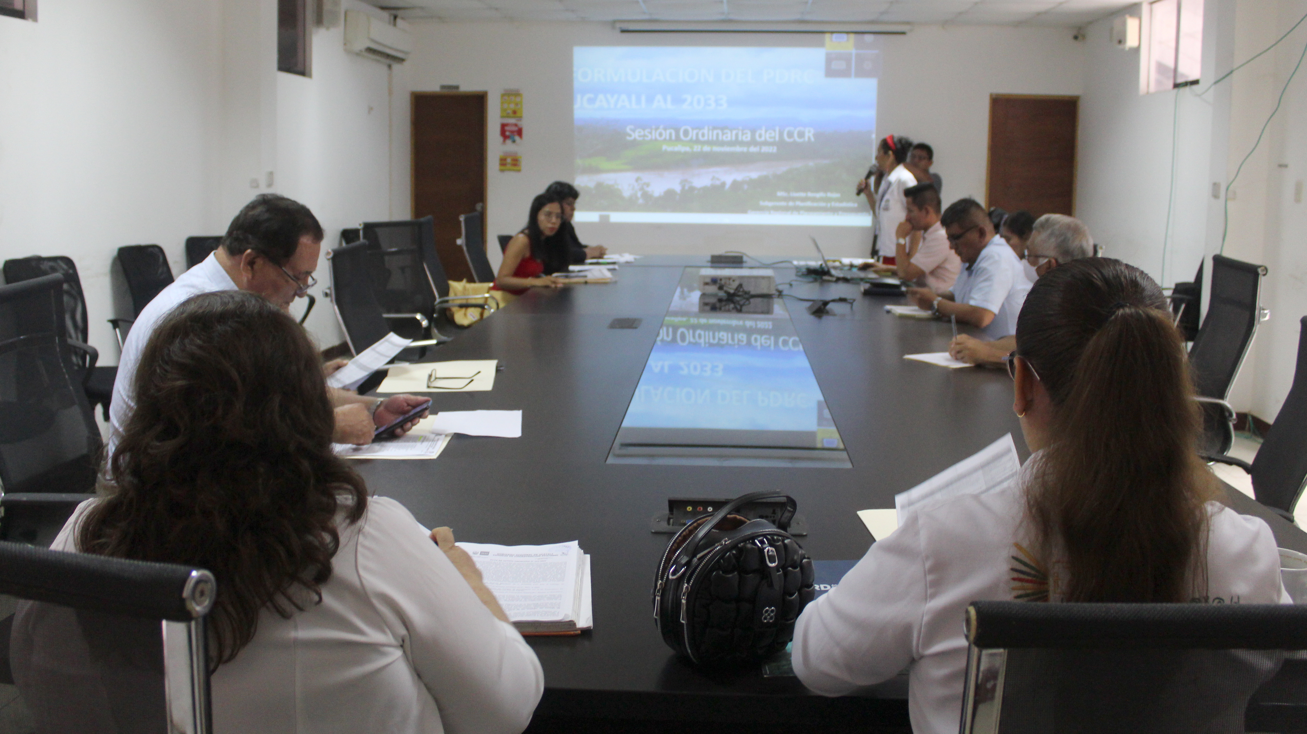 Aprueban Plan de Desarrollo Regional Concertado de Ucayali 2023-2033