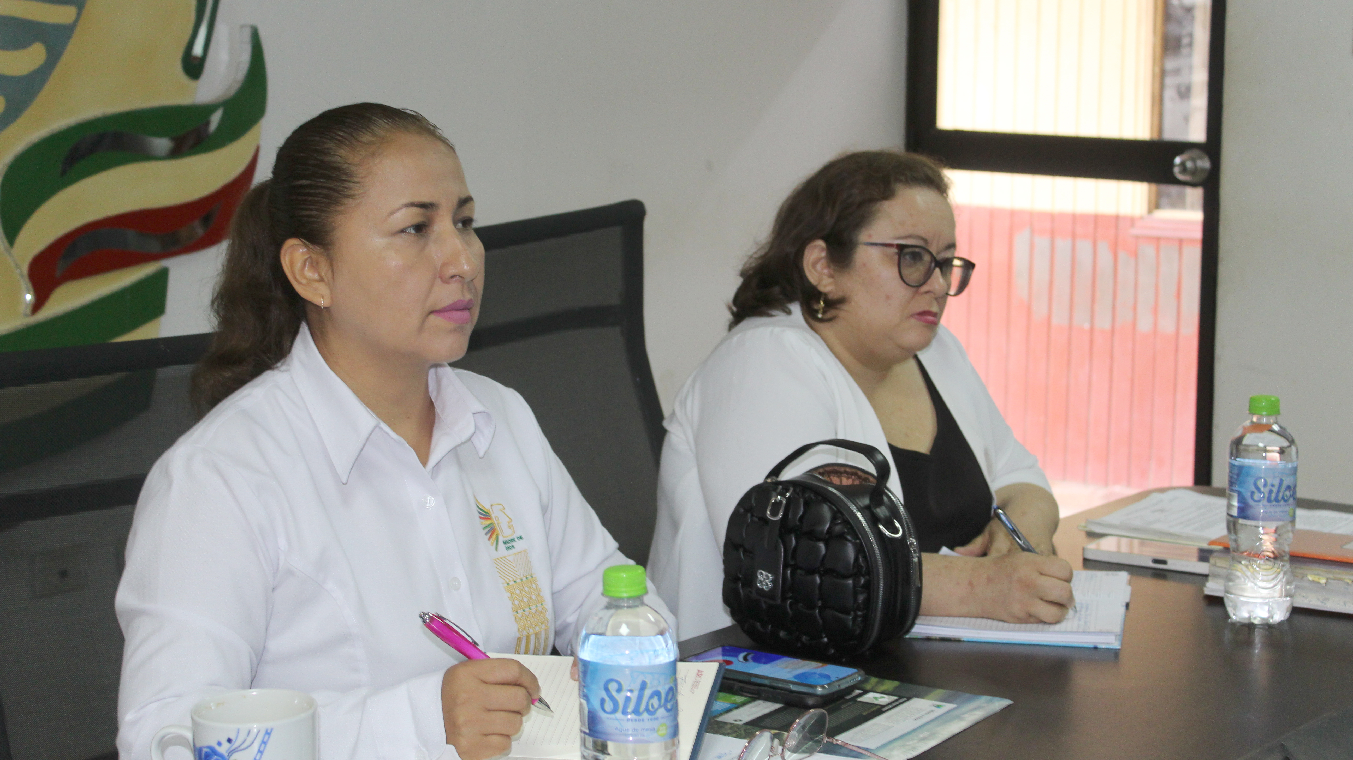 Aprueban Plan de Desarrollo Regional Concertado de Ucayali 2023-2033