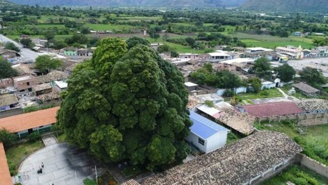 ¡Buenas noticias! Proyecto de agua y alcantarillado de Malcas, San Martin e Iscocucho ha sido aprobado
