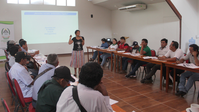 Productores ucayalinos son partícipes de la implementación del Programa Jurisdiccional REDD+ 