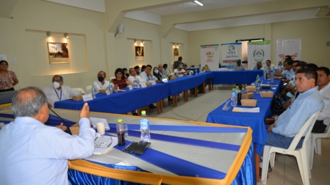 Aprueban Plan Regional de Competitividad y Productividad de Ucayali al 2030  