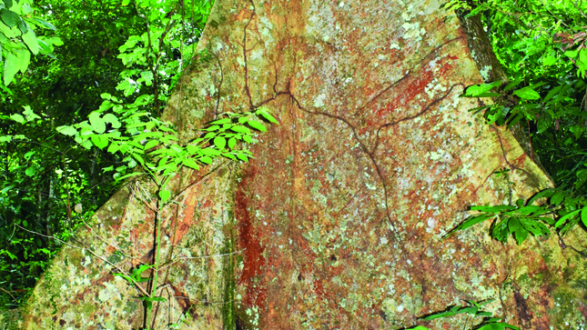 SHIHUAHUACO
