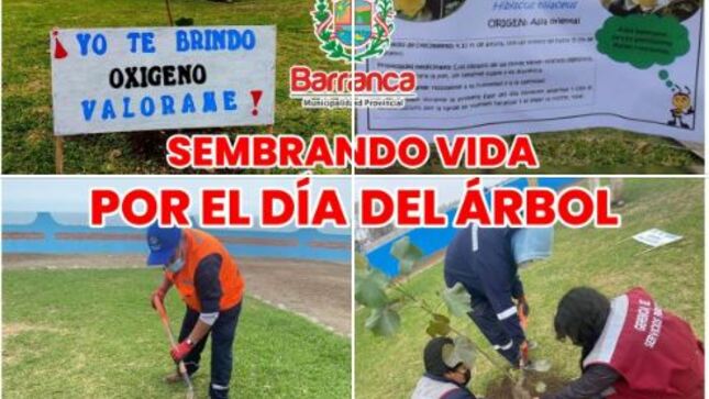 Subgerencia de Salud y Medio Ambiente realizó el sembrado de plantas en el área verde del Skatepark