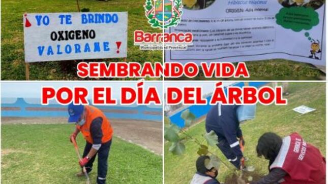 Subgerencia de Salud y Medio Ambiente realizó el sembrado de plantas en el área verde del Skatepark