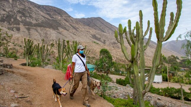 Abren parque ecológico forestal de aventura totalmente gratuito