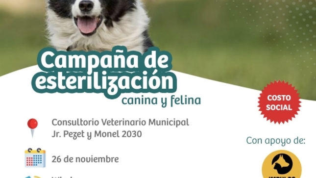 La Municipalidad de Lince y la Asociación Impulso Animal abrieron el programa de intervenciones quirúrgicas para canes y felinos del distrito, como parte de una campaña masiva de esterilizaciones promovida con costo social.

La jornada se realizará este sábado 26 de noviembre en la Veterinaria Municipal, ubicada en el jirón Pezet y Monel N° 2030. Para acceder a estas intervenciones, es necesario que los propietarios de los animales reserven una cita a través de los números 979283815 o 991330717. Todas las intervenciones se ejecutarán cumpliendo estrictamente con los protocolos sanitarios del caso.

La Municipalidad de Lince recordó que continúa trabajando para garantizar el bienestar de sus vecinos y generar conciencia sobre la verdadera responsabilidad que significa tener un perro o gato en el hogar, pues estos deben ser considerados como un miembro más de la familia.