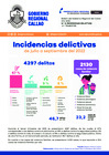 Vista preliminar de documento Boletín N°4: Incidencias Delictivas - III Trimestre - 2022