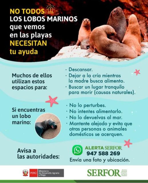 Comunicado de Serfor a la comunidad