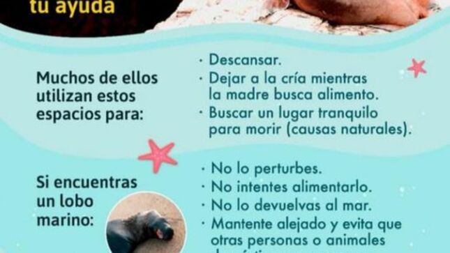 Comunicado de Serfor a la comunidad 