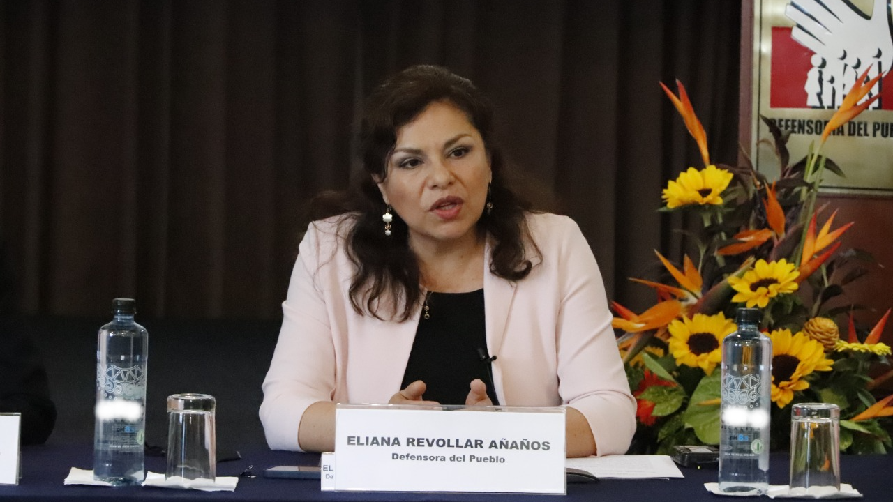Defensora del pueblo, Eliana Revollar