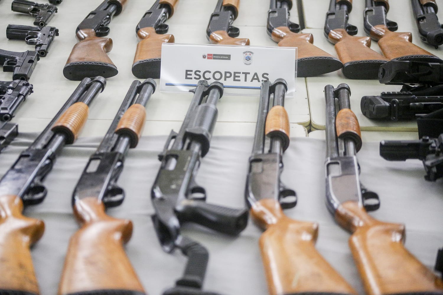 Fiscalizaciones Sucamec en Lima y Áncash
