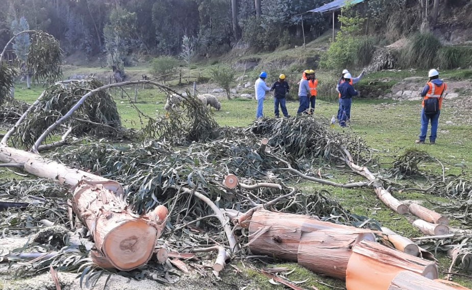 Las Interrupciones imprevistas del servicio eléctrico recientemente en el valle del Mantaro fueron ocasionadas por la tala de un árbol.