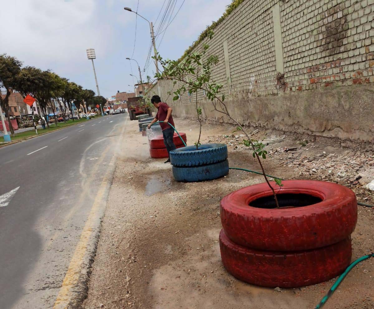 Recuperamos espacios públicos en av. Alfredo Palacios colocando plantas ornamentales