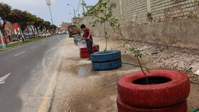 Recuperamos espacios públicos  en av. Alfredo Palacios colocando plantas ornamentales 