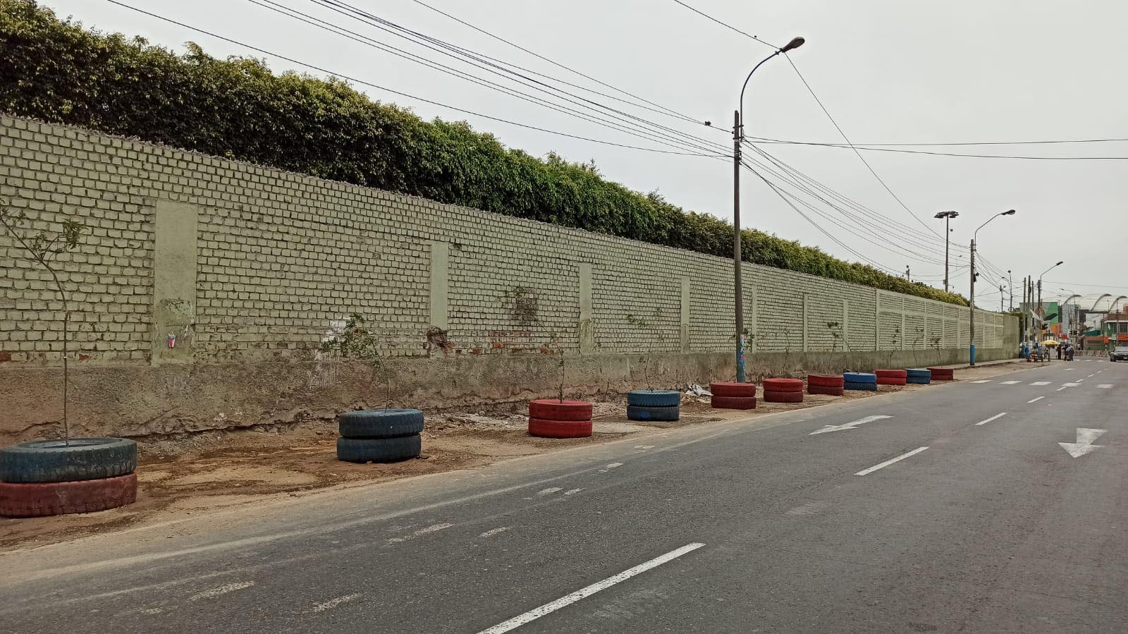 Recuperamos espacios públicos en av. Alfredo Palacios colocando plantas ornamentales