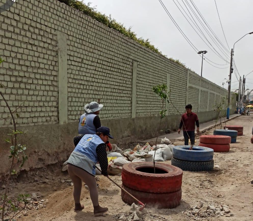 Recuperamos espacios públicos en av. Alfredo Palacios colocando plantas ornamentales