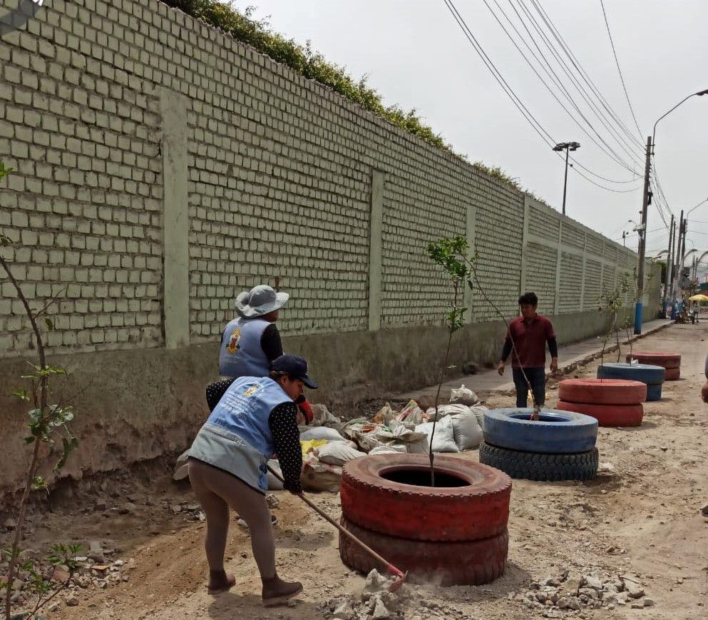 Recuperamos espacios públicos  en av. Alfredo Palacios colocando plantas ornamentales