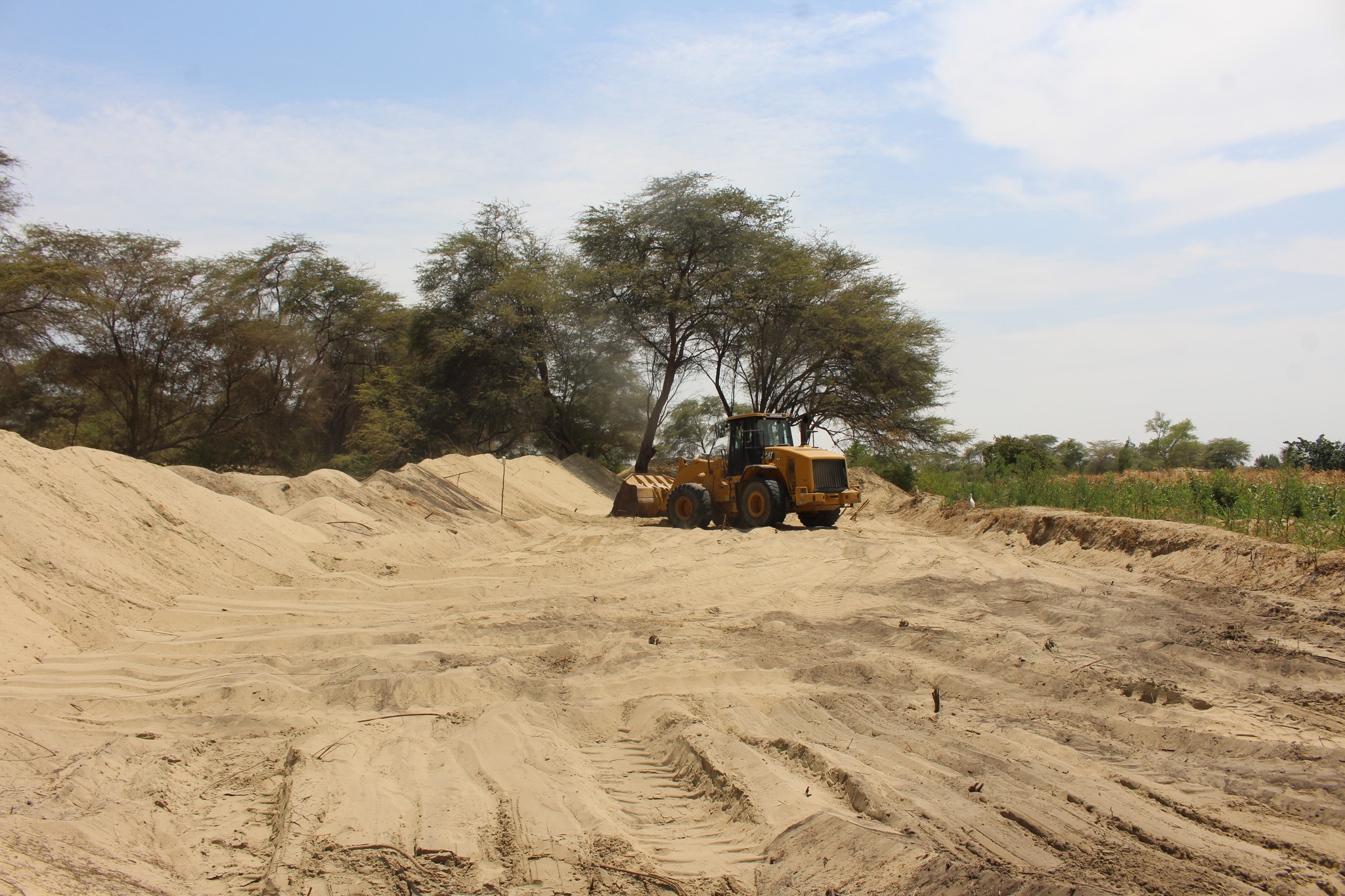 Maquinaria Realiza Trabajos en Terreno Agrícola