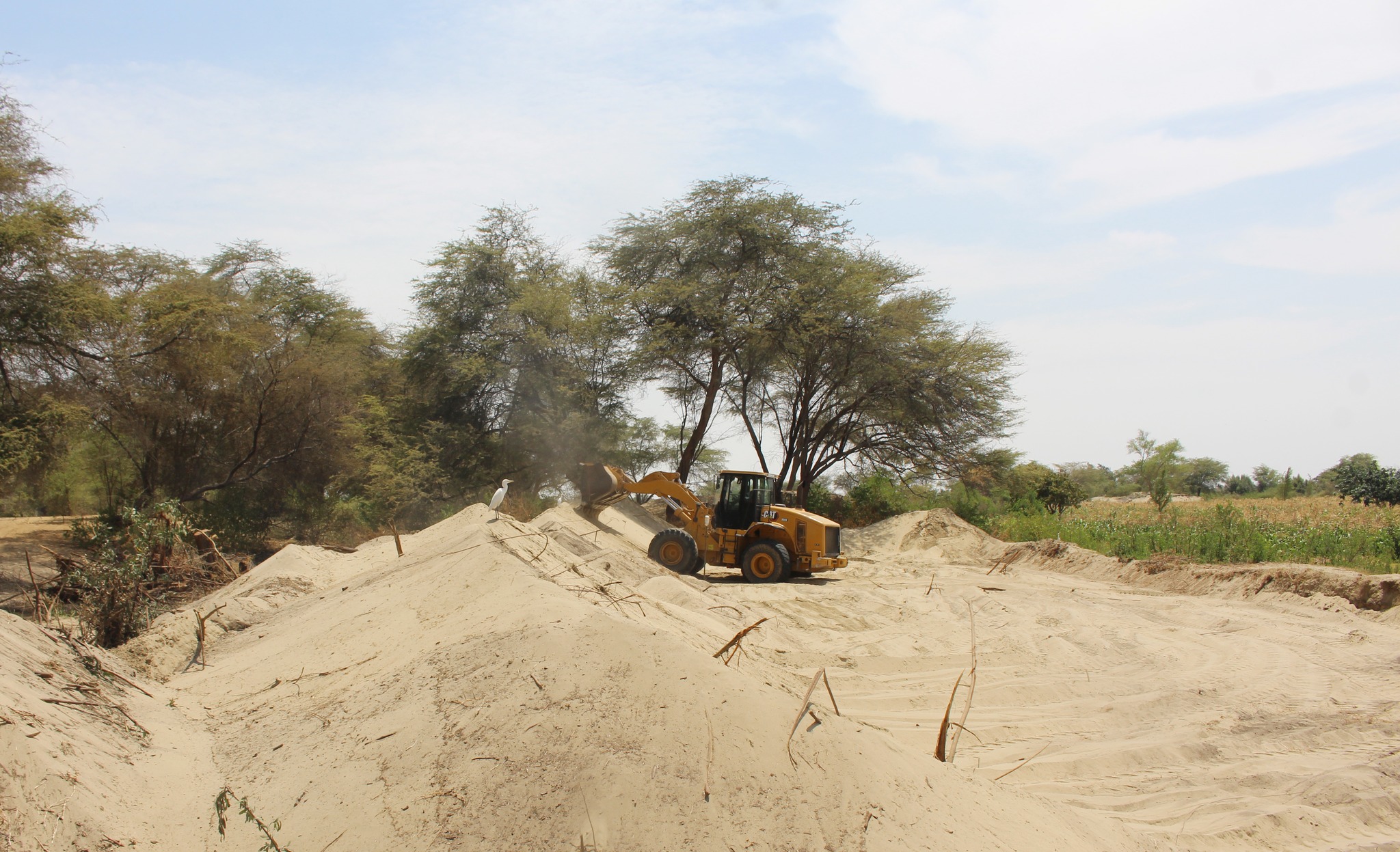 Maquinaria Realiza Trabajos en Terreno Agrícola