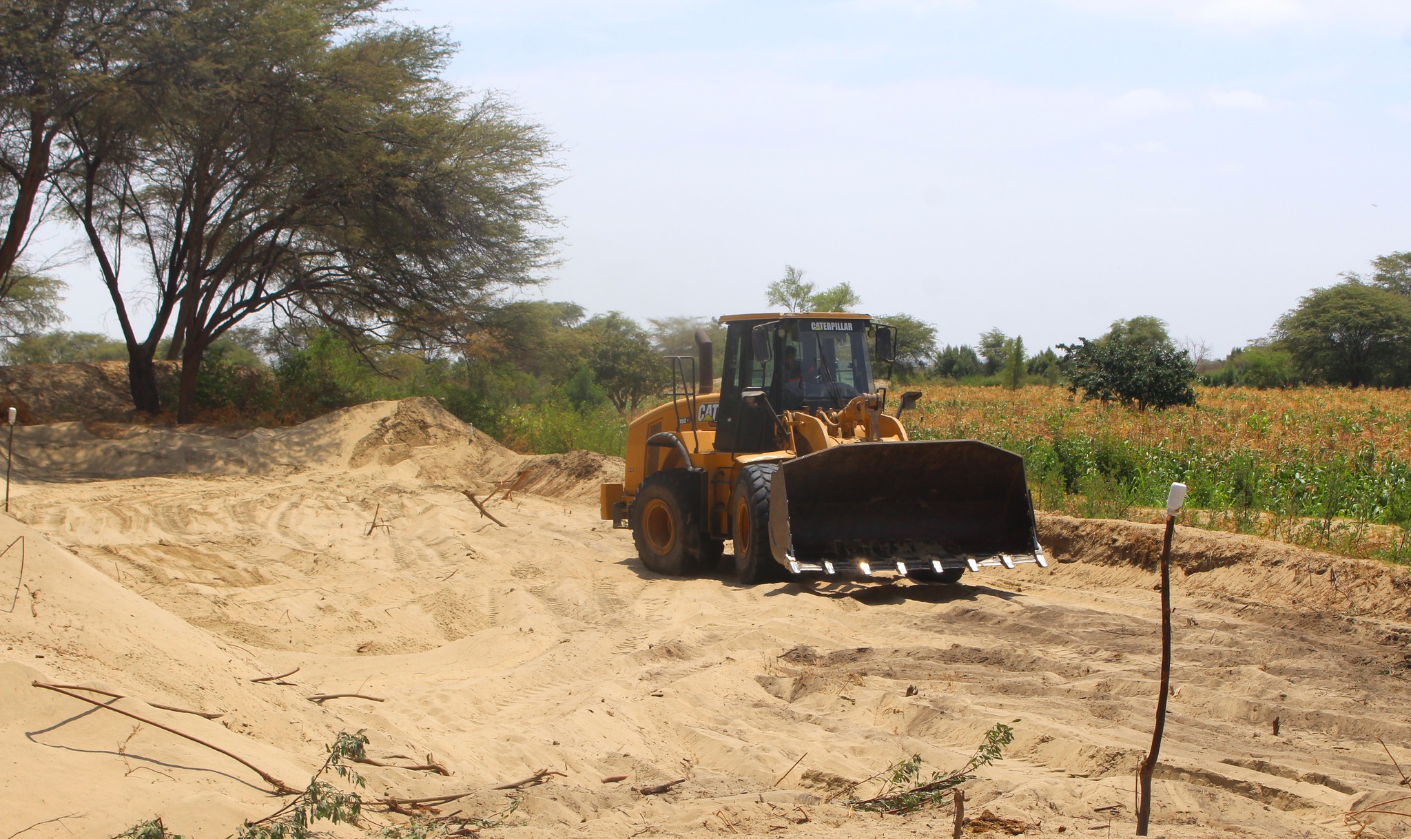 Maquinaria Realiza Trabajos en Terreno Agrícola