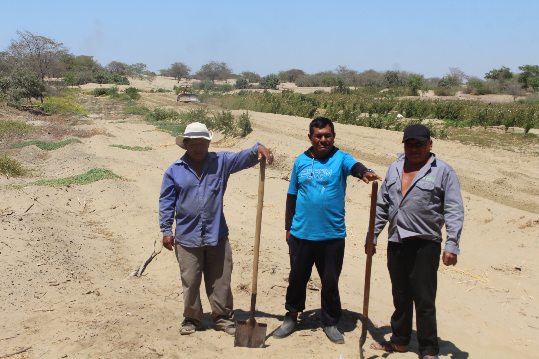 Maquinaria Realiza Trabajos en Terreno Agrícola