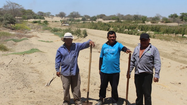 Maquinaria Realiza Trabajos en Terreno Agrícola