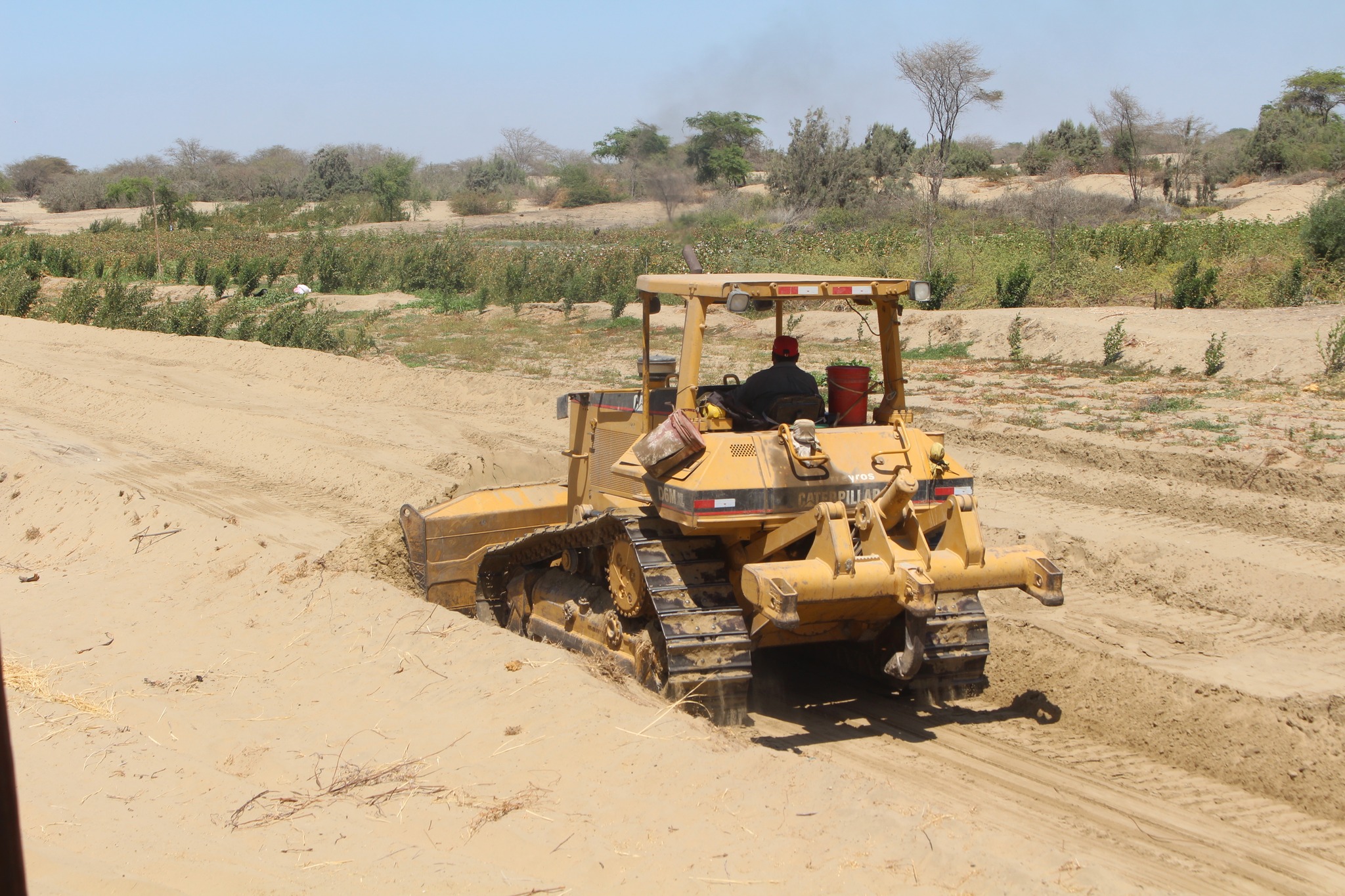 Maquinaria Realiza Trabajos en Terreno Agrícola