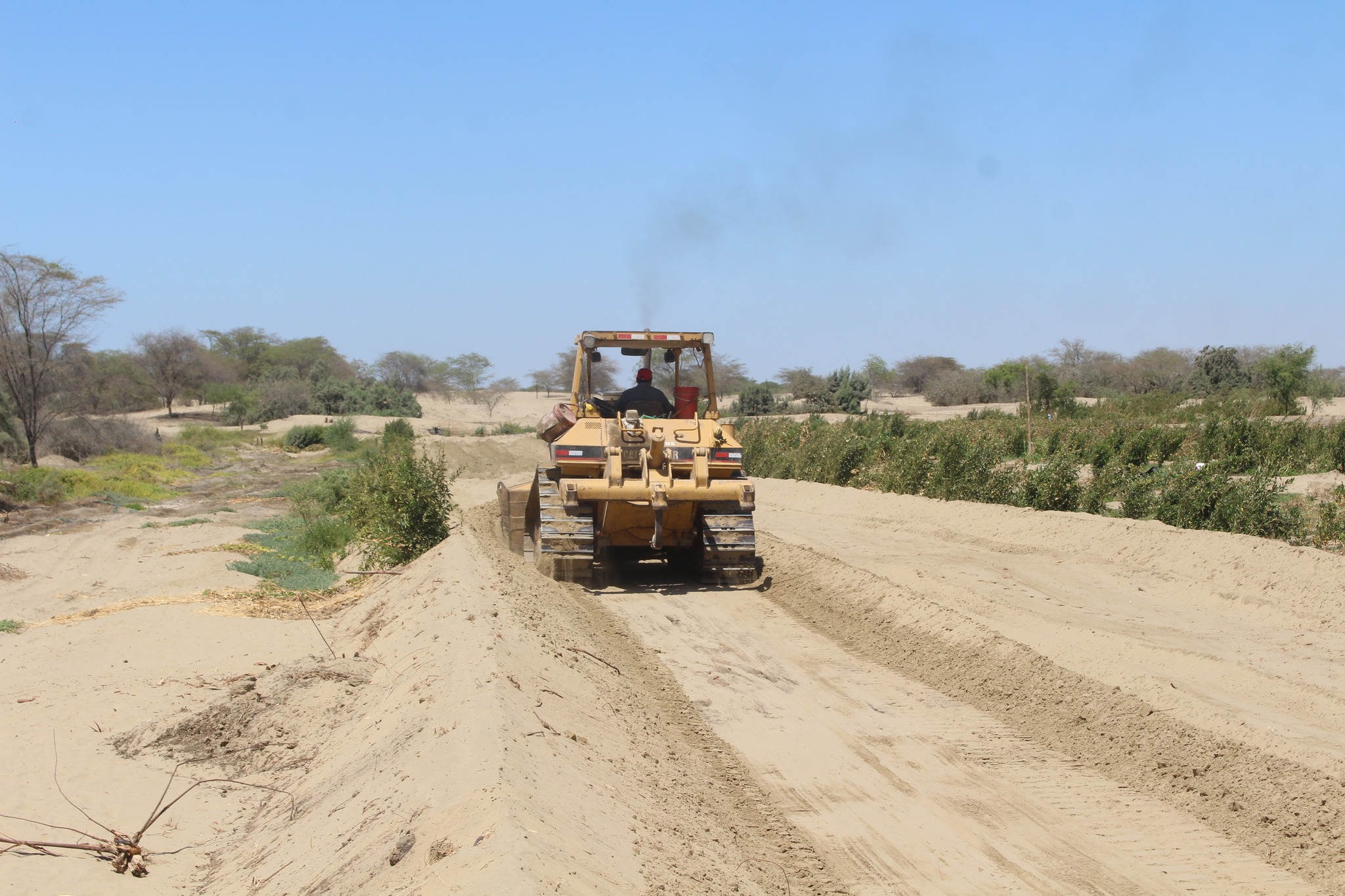 Maquinaria Realiza Trabajos en Terreno Agrícola