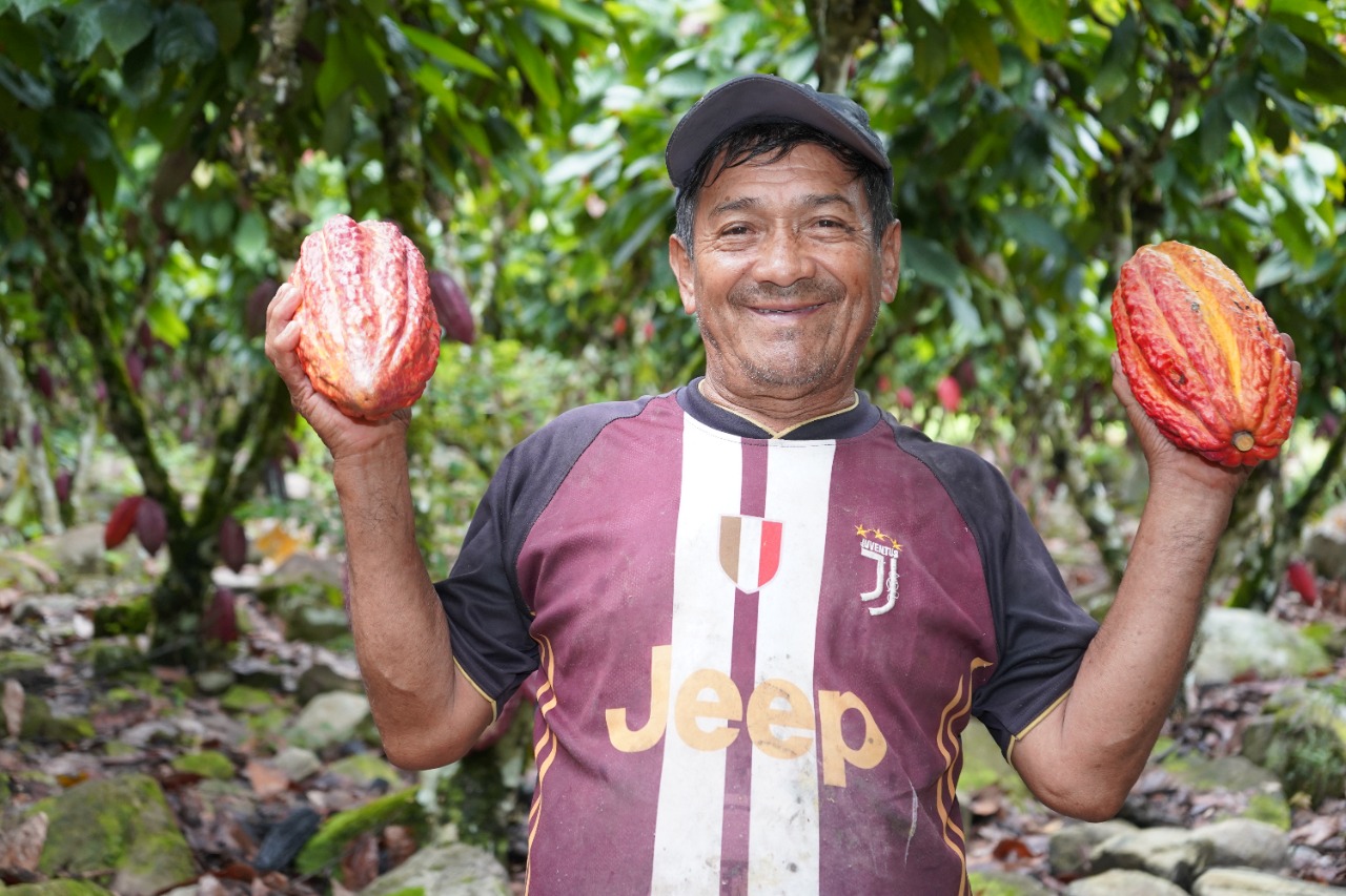 Cacao