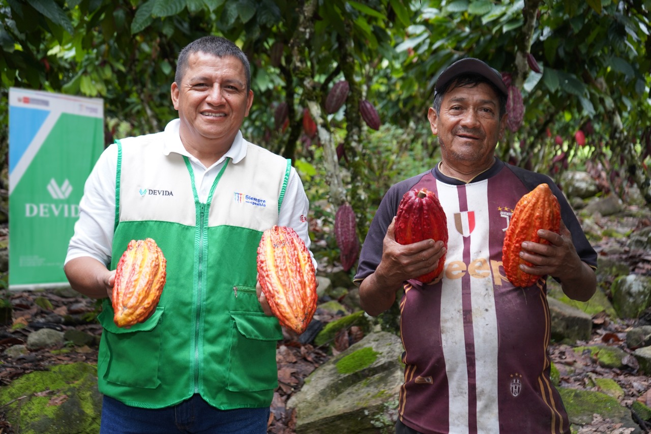 Cacao