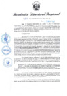 Vista preliminar de documento RDR N° 973-2022