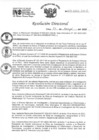 Vista preliminar de documento RD 033-2022-INO-D
