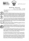 Vista preliminar de documento RD 036-2022-INO-D