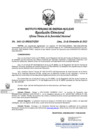 Vista preliminar de documento 2461-2022-OTAN.pdf