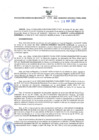 Vista preliminar de documento RES N°470-2022-GRDS